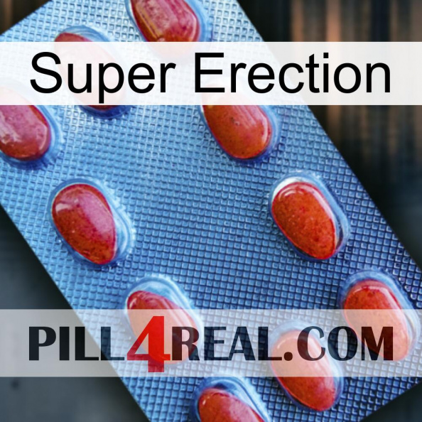 Super Erection 06.jpg